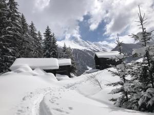 卡普尔Hotel Garni Central - Zimmer - Studios - Apartments的雪覆盖的山间小屋 覆盖的树木 更多37张照片