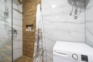 a shower with a washer and dryer in a bathroom at Apartment Midi in Vir +14 photos