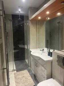 Un baño con ducha, lavabo e inodoro. en Ensuite in Gorgeous Shared Oxford Flat, en Oxford