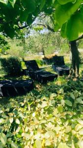 three benches sitting under a tree in a park at House Solis in Banjol +21 photos