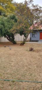 Fotografie z fotogalerie ubytování Binu Motel v destinaci Kempton Park