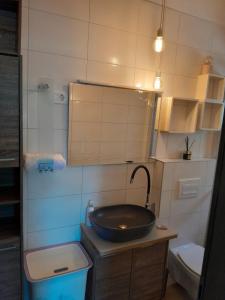 a bathroom with a sink and a toilet at Apartments Roza in Dramalj