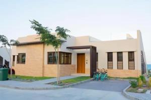 マスカットにあるNight Moonの建物の前に駐車された自転車の群れ