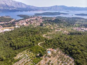 an aerial view of a town and a lake at House Nikica in Korčula