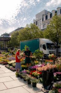Zahrada ubytování Il Ponte Private Room with Hotel-Style Comfort