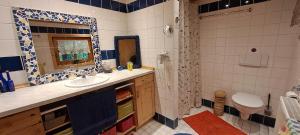 a bathroom with a sink and a toilet and a mirror at Ferienwohnung Vogelnest in Betzenstein