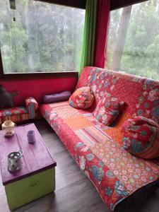 Afbeelding uit fotogalerij van Yourte Mongole et cabane in Houffalize +10 foto's