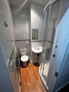 a small bathroom with a toilet and a sink at Alcantara House in Southampton