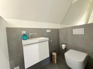 une salle de bain avec des toilettes blanches et un lavabo dans l'établissement Lieblingsplatz, à Überlingen 36 autres photos