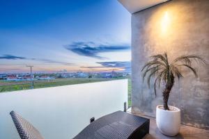 a palm tree in a pot sitting on a balcony at Brand new apartment with stunning sunset views in Munggu