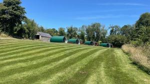 唐帕特里克Kinelarty Luxury Glamping Pods Downpatrick的相册照片