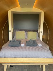 Kinelarty Luxury Glamping Pods Downpatrick客房内的一张或多张床位