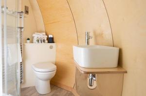 唐帕特里克Kinelarty Luxury Glamping Pods Downpatrick的带马桶和水槽的小浴室
