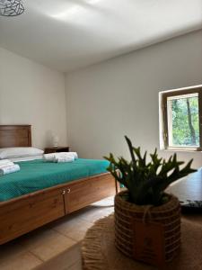 a bedroom with a bed and a potted plant at Agriturismo Curatola in Spilinga +83 photos