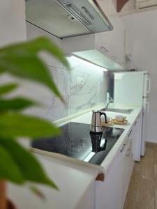 a kitchen with a sink and a counter top at Apartments Villa Bazilika in Sečovlje