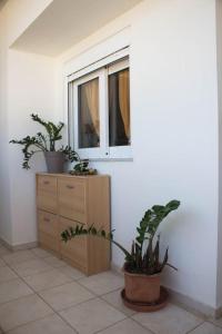 Φωτογραφία από το άλμπουμ του Annita's apartment στον Άγιο Αντώνιο