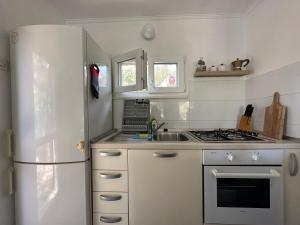 a kitchen with a white refrigerator and a sink at House Neli in Srednje Selo na Šolti +12 photos