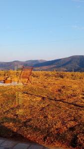 einer in der Mitte eines Feldes sitzenden Bank in der Unterkunft Ecovalle São Thomé - Cabana Mallki Wasi in São Thomé das Letras