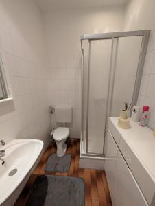 a bathroom with a shower and a toilet and a sink at Cozy Apartment in Simmering in Vienna