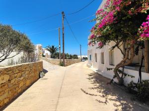 a street with flowers on the side of a building at Thymariá - Chora view house in Chora Folegandros +20 photos