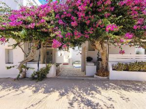 a tree with pink flowers on a white building at Thymariá - Chora view house in Chora Folegandros