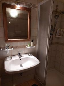 a bathroom with a sink and a mirror and a shower at Petit Chalet in Villanova +9 photos