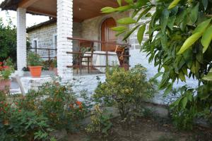 Zahrada ubytování Guest House Marsi