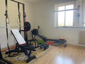 ein Raum mit einem Fitnessstudio mit zwei Laufbändern in der Unterkunft Sensivilla Guest House - Grasse - Costa Azzurra in Grasse