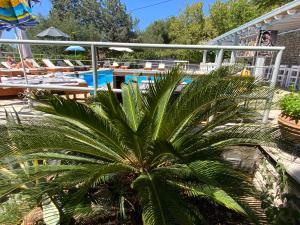 a palm tree in front of a swimming pool at Blue corfu view in Barbati