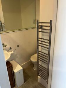 a bathroom with a toilet and a sink and a mirror at Plush maisonette in Southampton +3 photos