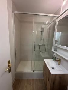 une salle de bain avec une douche avec un lavabo et un miroir dans l'établissement STUDIO COSY, à Cabourg