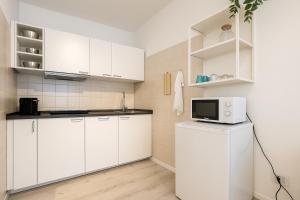 Η κουζίνα ή μικρή κουζίνα στο Intero Apt Padova - Free Parking - WiFi - Aria Condizionata - Oasi Padova