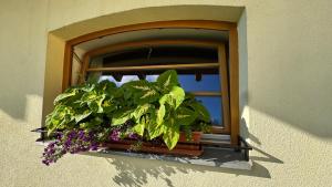 Vonkajšia záhrada v ubytovaní Relax Hotel Stork