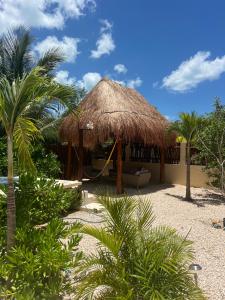 Vườn quanh Island Escape for Groups Hosted by Atenea Holbox