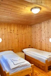 two beds in a room with wooden walls at Cèsa Niki in Canazei