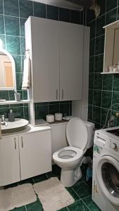un bagno con WC e lavatrice di Apartman Nešković a Veliko Gradište