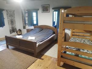 a bedroom with a bunk bed and a ladder at Tündérkert vendégház in Sînsimion
