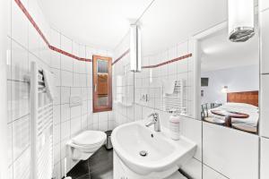 Hotel Hine Adon Fribourg的一间浴室