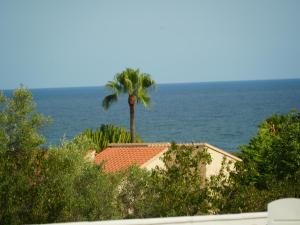 Φυσικό τοπίο κοντά σε αυτό το ξενοδοχείο