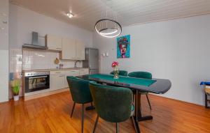 Η κουζίνα ή μικρή κουζίνα στο Amazing Apartment In Stara Vas
