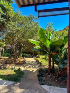 戈亚斯州上帕莱索Conexão Hostel的一座大绿色植物,在院子里有树木