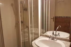 a bathroom with a sink and a shower at Maisons agréables 13ms024 in La Fresnais +12 photos