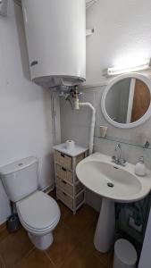 a bathroom with a toilet and a sink and a mirror at Appartement de village in Monacia-dʼAullène