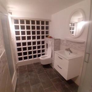 Gallery image of studio in a villa in Annemasse +11 photos