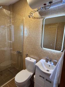 a bathroom with a toilet and a shower and a sink at Villa Jaram Private Pool & BBQ Escape in Jarmenovci +15 photos