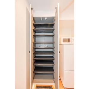 een inloopkast met zwarte planken bij Sheath Okachimachi Apartment Hotel in Tokyo