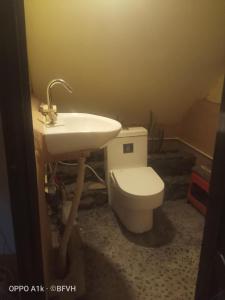 un baño con lavabo e inodoro en Five Queens Studio Apartment, en Pokhara