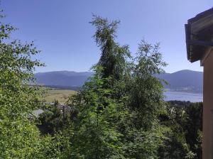 Príroda v okolí apartmánu