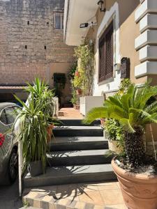 a group of potted plants on the steps of a building at B&B Anna in Marigliano