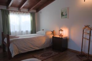 サン・カルロス・デ・バリローチェにあるBienvenidos al Relax Bed & Breakfastの大きなベッドと窓のある寝室
